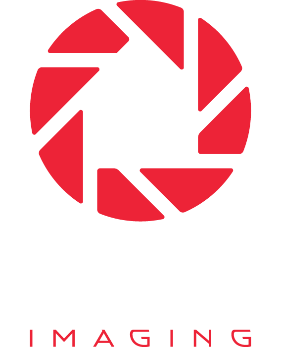 IRIS Logo